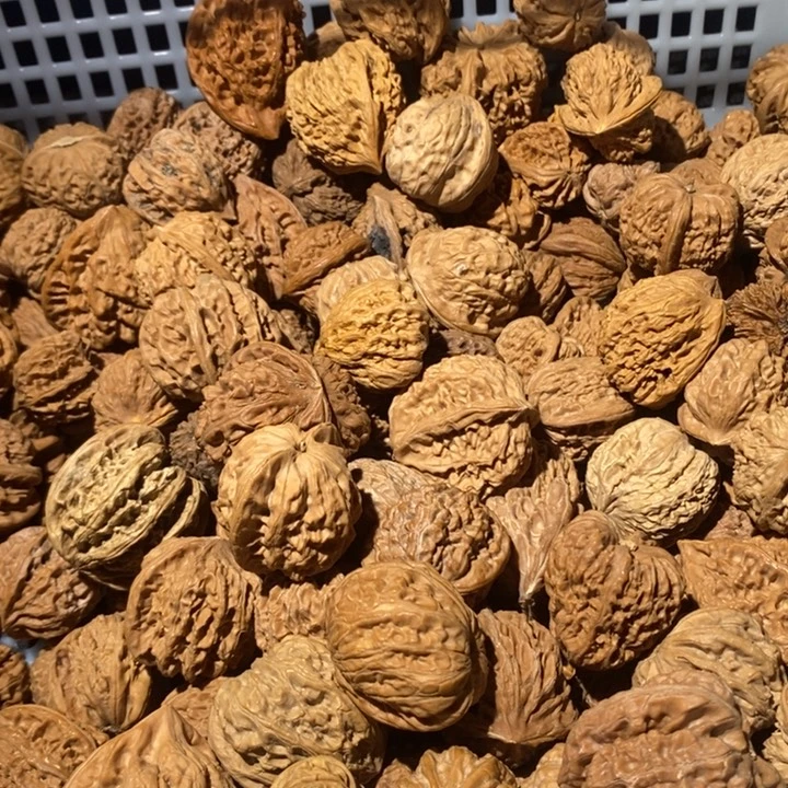 快***恼文玩核桃吊坠文玩城的小伙伴