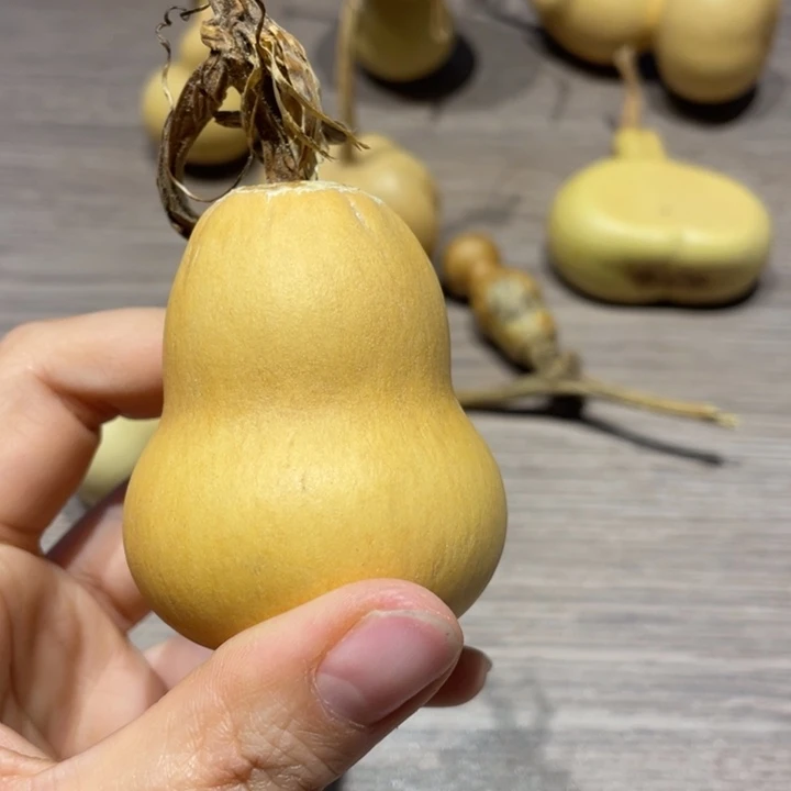 达***菲家里葫芦葫芦葫芦