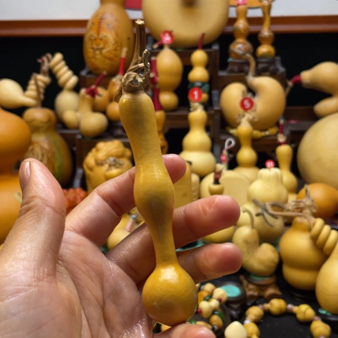 若*大自然的秘密第十节第