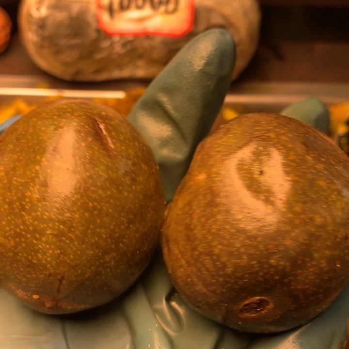 周***通大叶紫檀（黑酸枝木类）