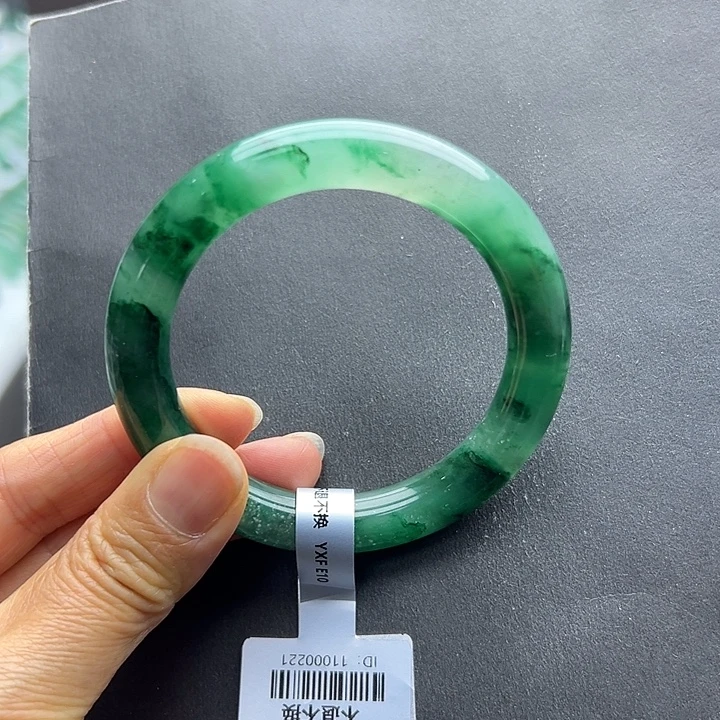 石英质玉未镶嵌手镯燕子➕55.6