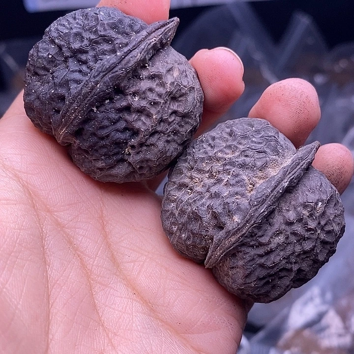 把件文玩核桃   247