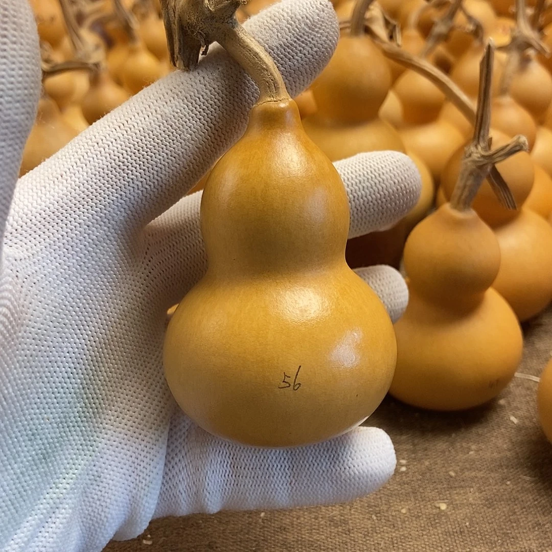 文玩葫芦 完美主义者 慎拍56