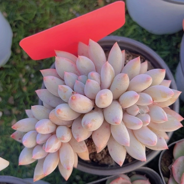 健健康康平平安安