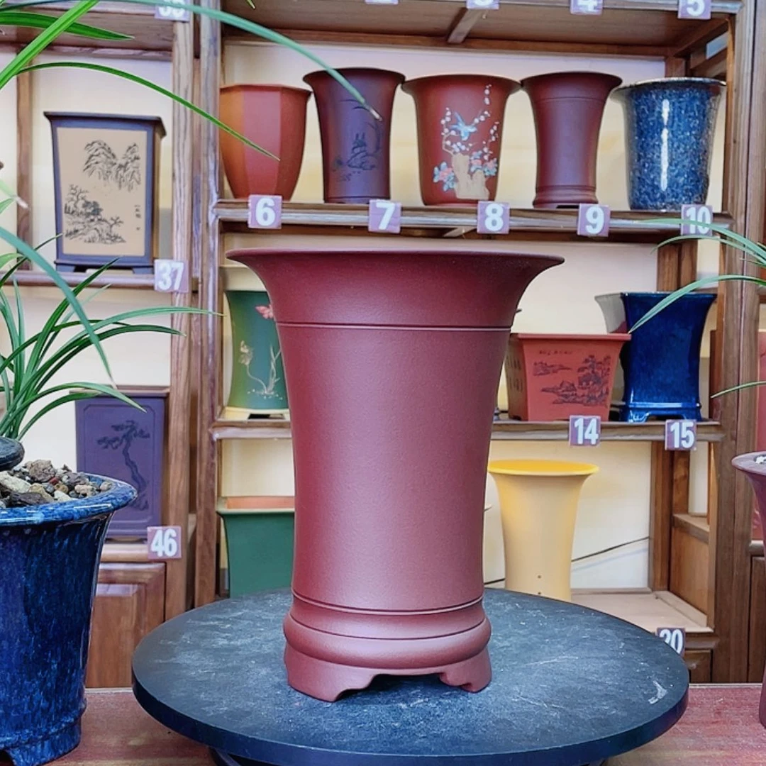 【闪购商品】紫砂花盆兰花556885265555555555