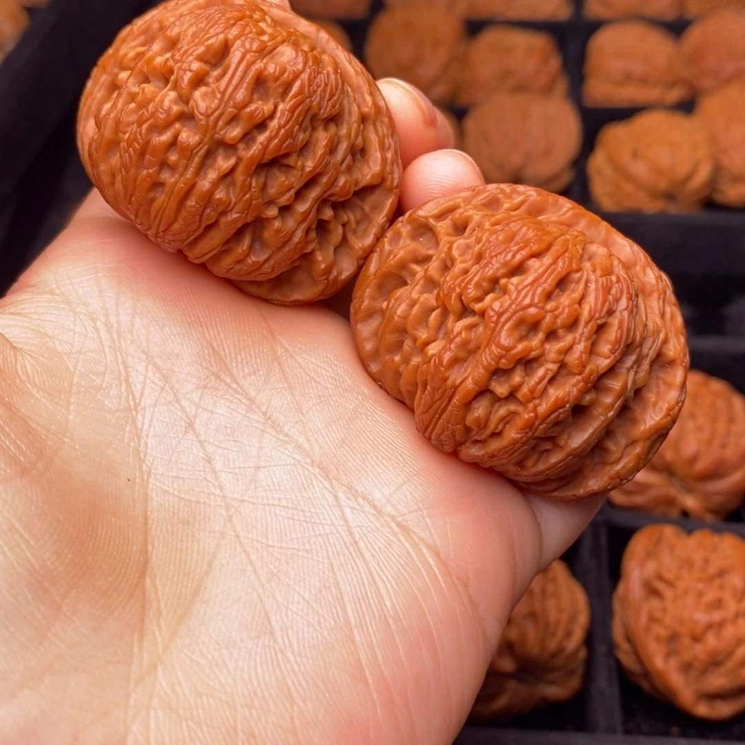 文玩核桃把件秦岭野生核桃