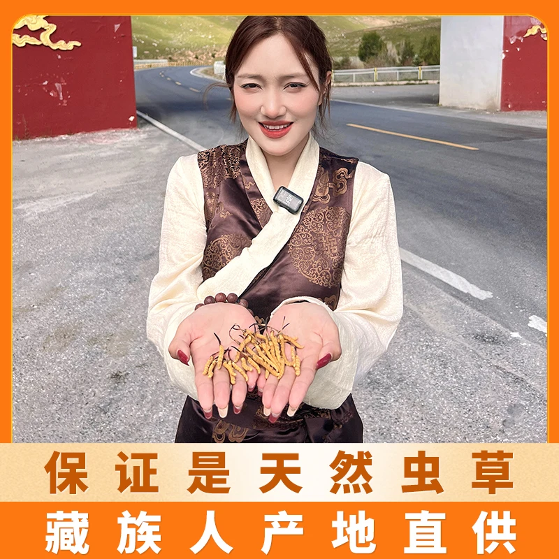【玉树中草4根/克】草小二天然虫草 玉树官方旗舰店藏族人产地直供