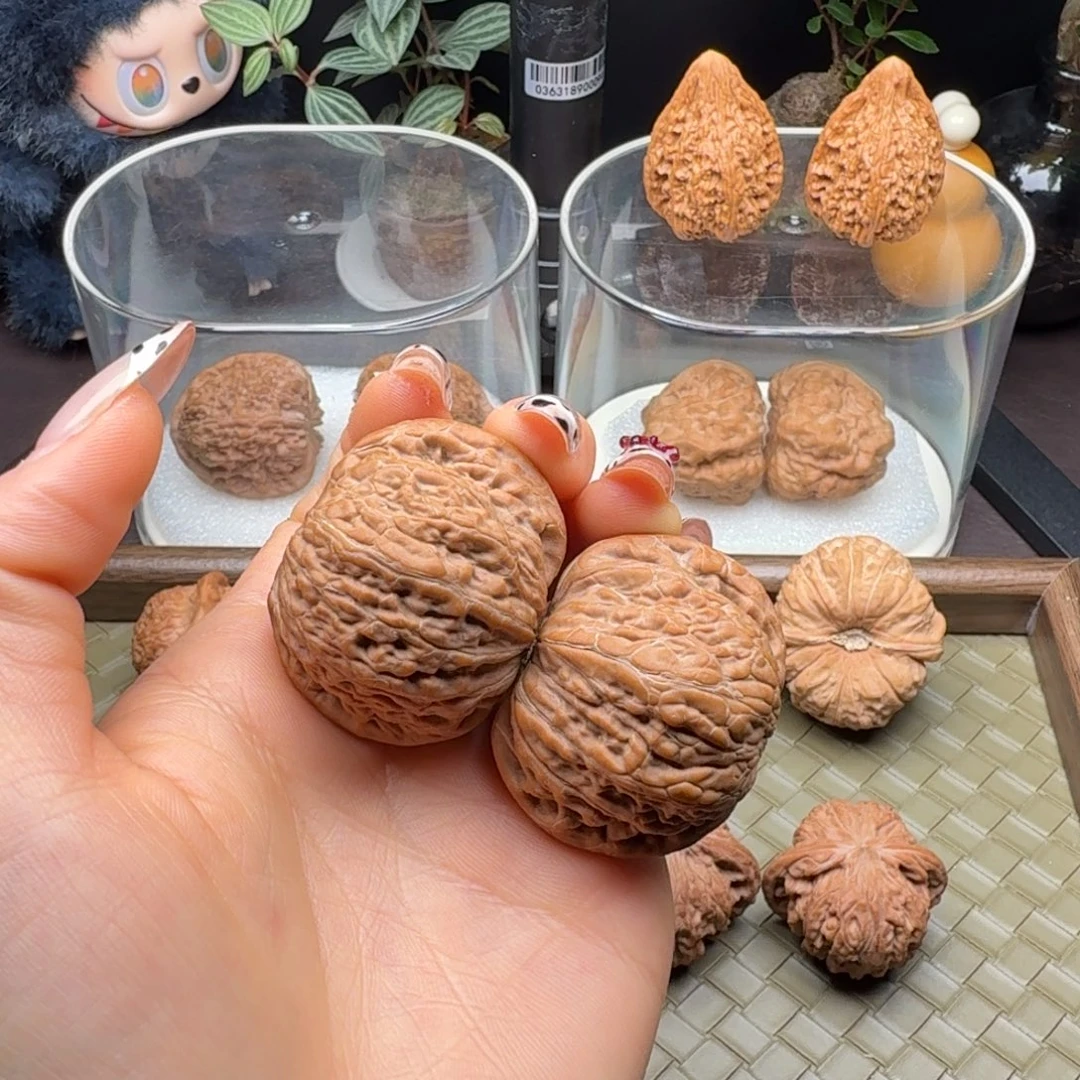 把件龙脊菩提全品铁锤41