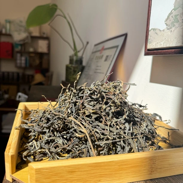 2025年忙肺水井头核心地块谷花秋茶