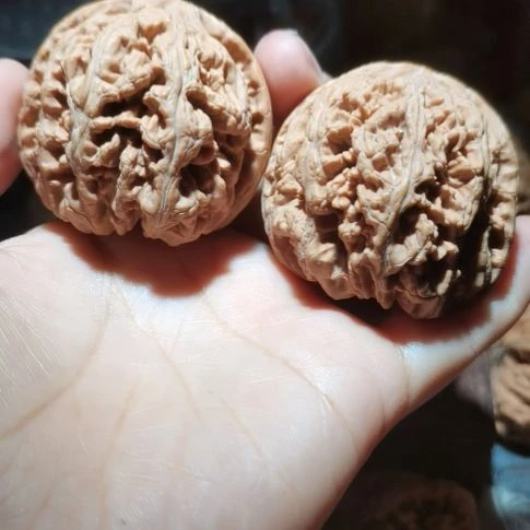 猴头核桃吊坠醉*47粗筋