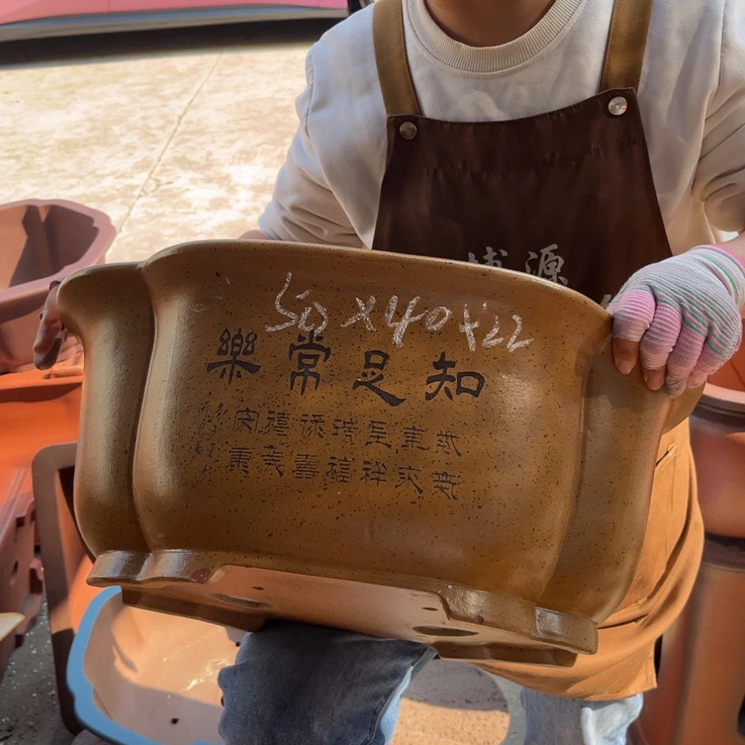 花盆紫砂盆景艺术