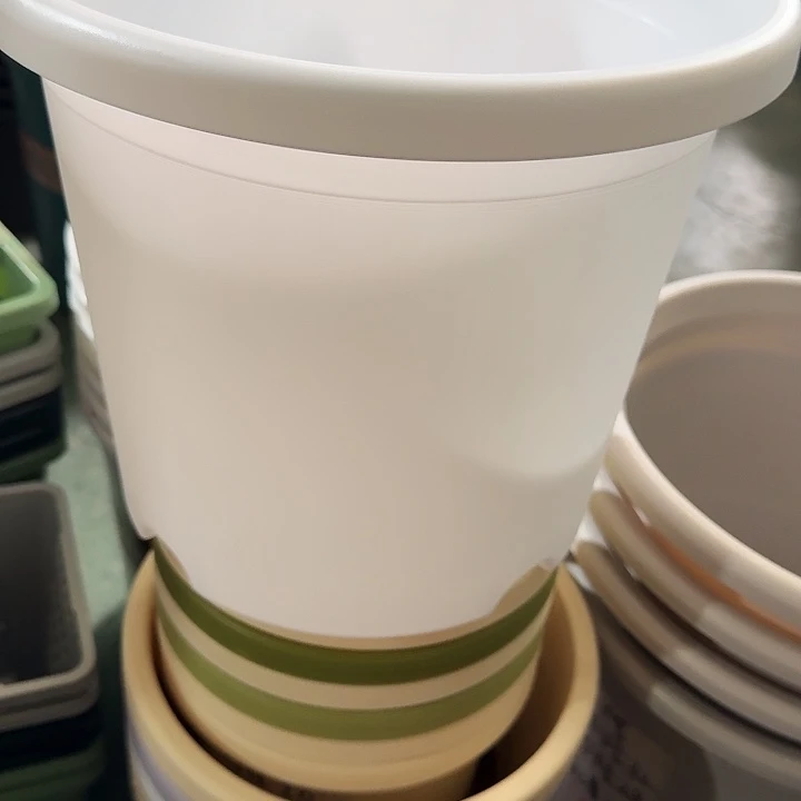 四季5号纯白无托6个特价微瑕