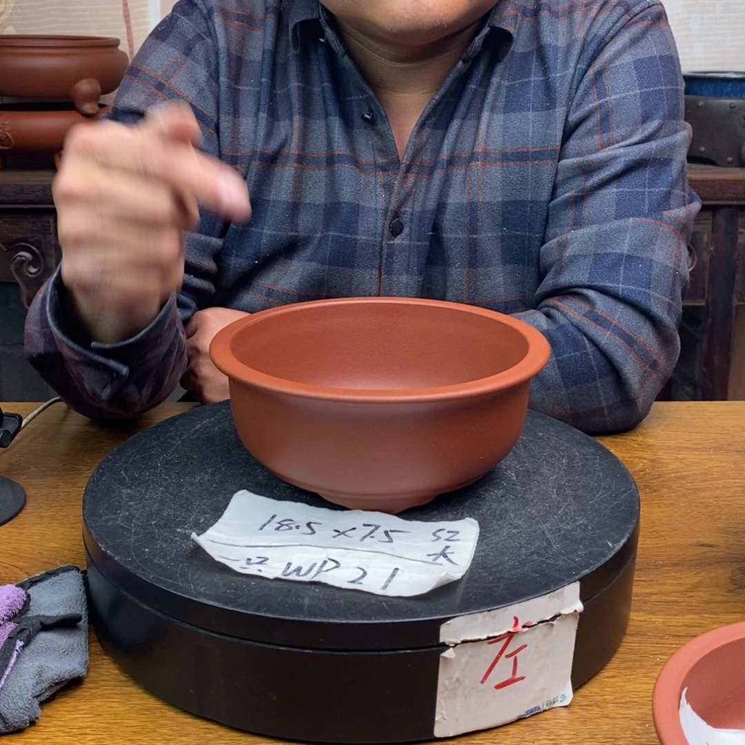 红陶货号一只WP21