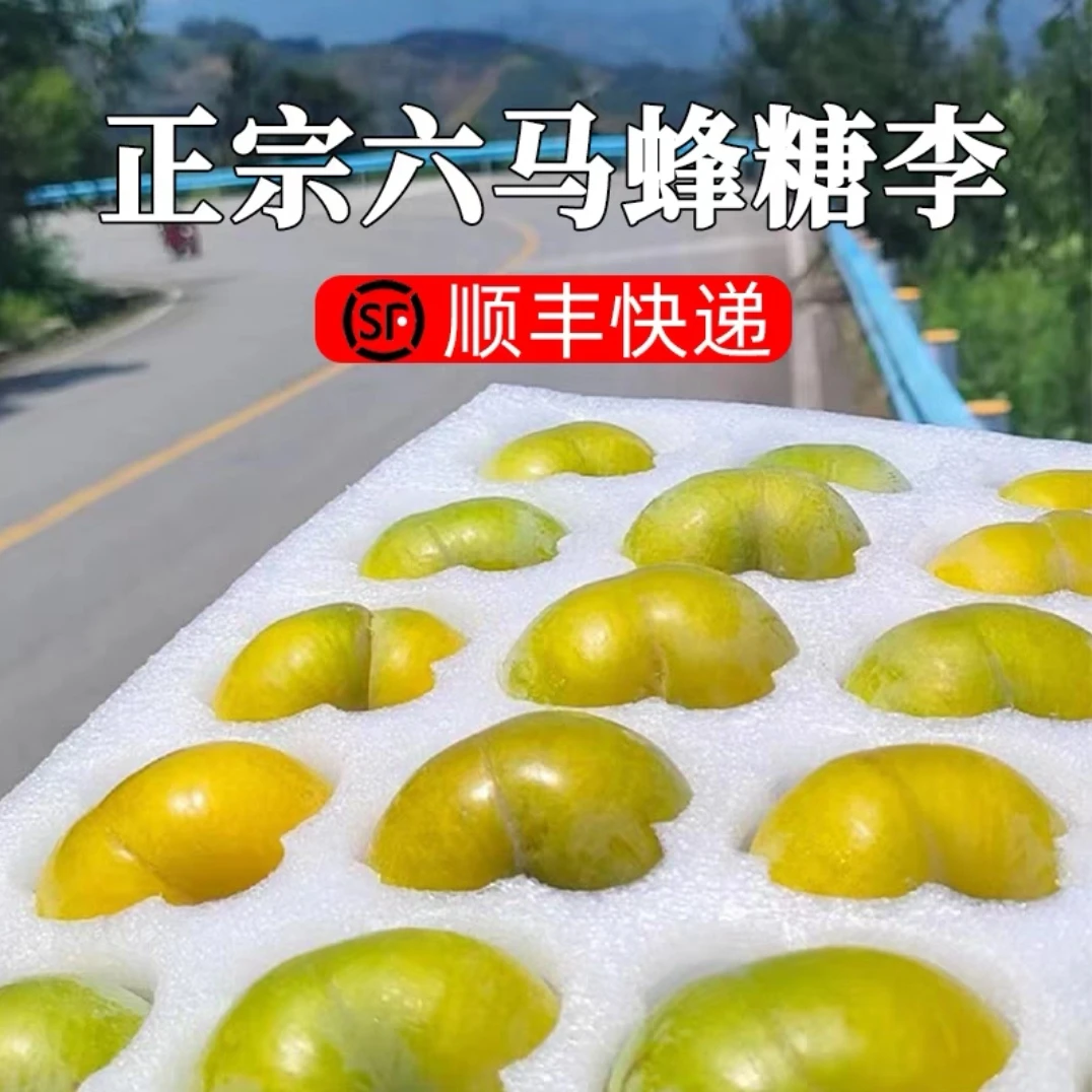 【顺丰包邮】正宗六马蜂糖李 爆甜多汁 新鲜采摘 现摘先发整箱