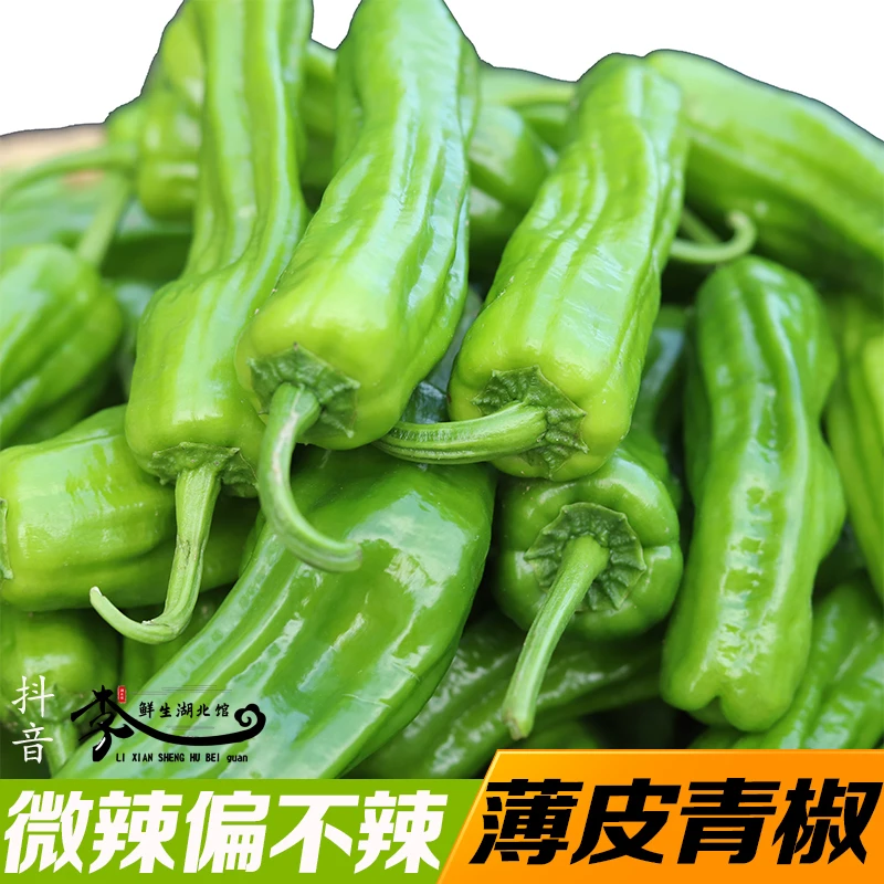 薄皮青椒微辣偏不辣现摘新鲜蔬菜皱皮辣椒虎皮青椒农产品湖北农家