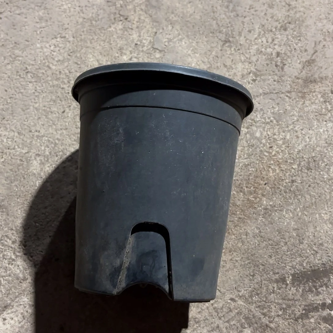 黑加仑160口径发15个