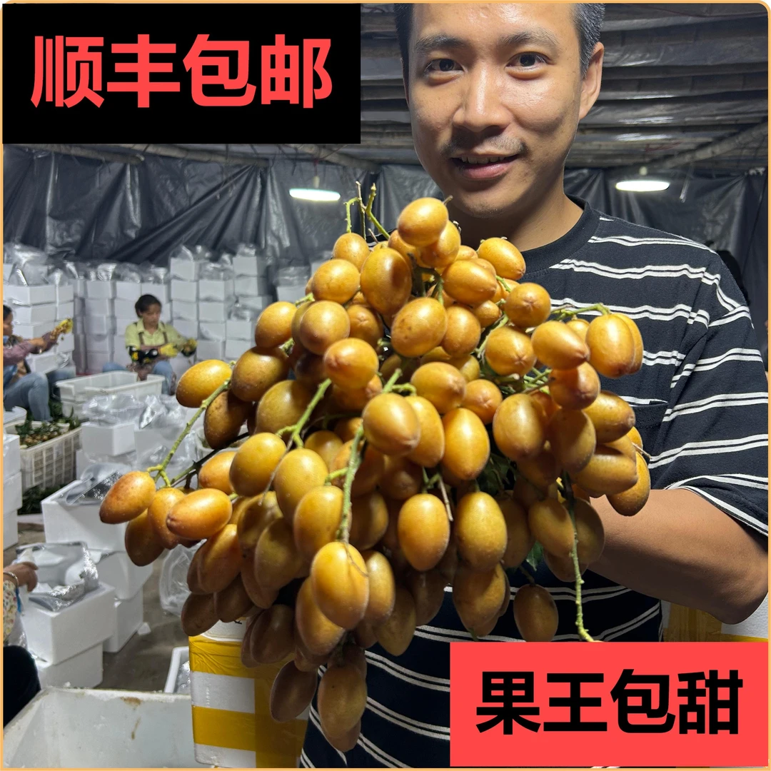 黄皮果王稀有品种橄榄黄皮酸甜可口贵妃高档水果顺丰空运包邮