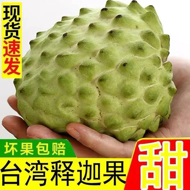 【顺丰包邮】台湾牛奶凤梨释迦果新鲜番荔枝佛头果大果当季孕妇水果