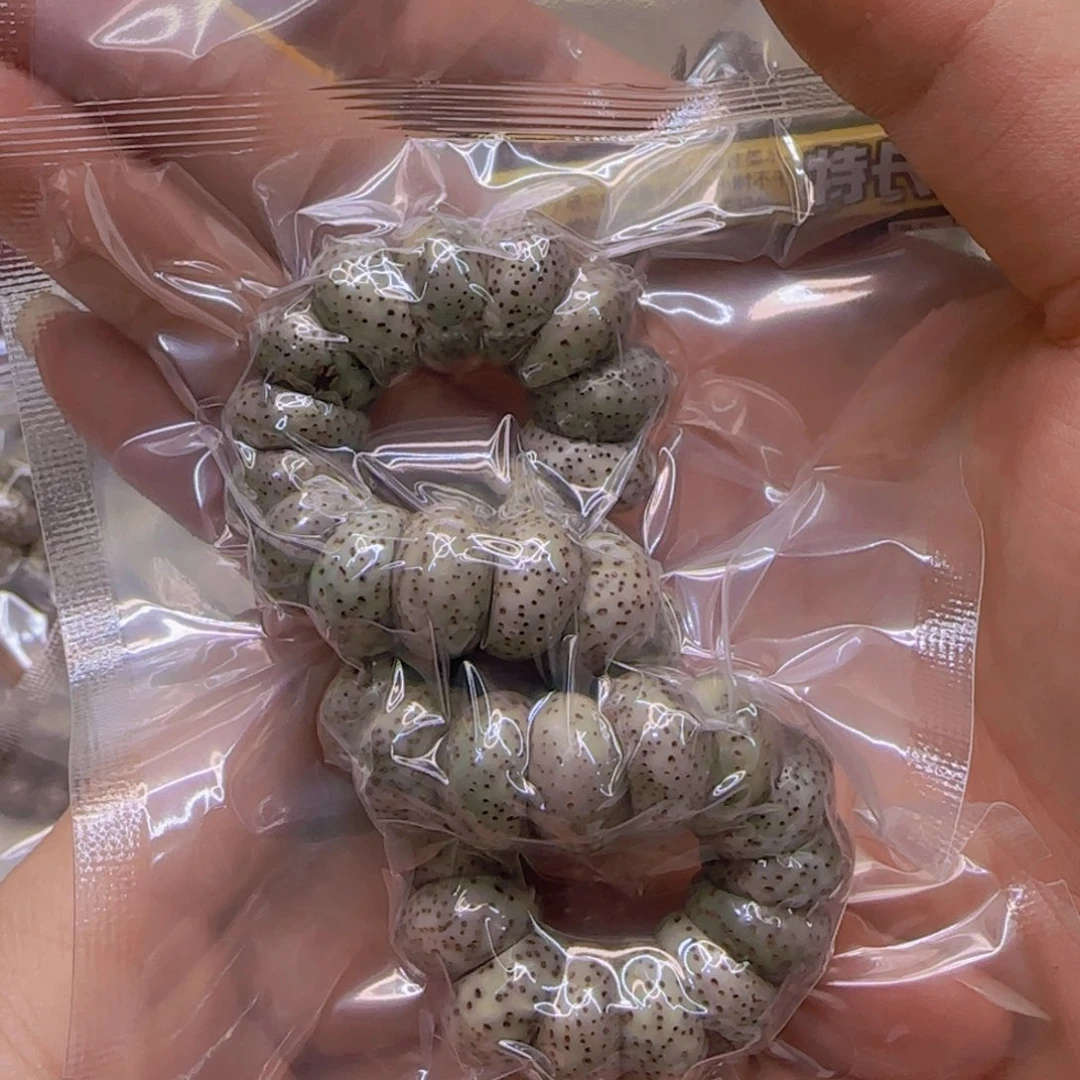 星月菩提手串13高端绿星月菩提1.3大肠单圈