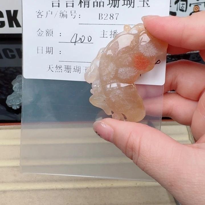 仙***凡硅化玉合金颈饰珊瑚玉