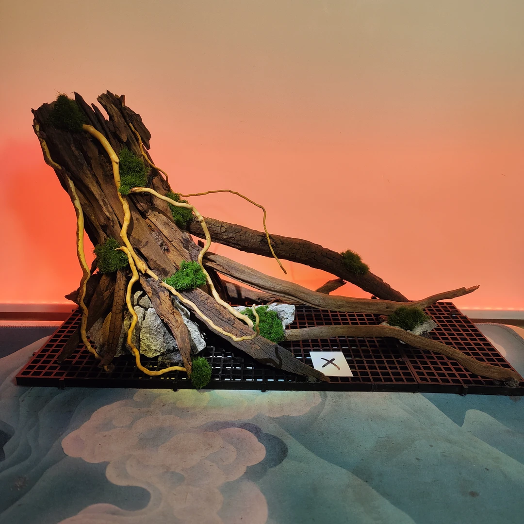 长38宽15高20  小米鱼缸可用  所见即所得  送水草胶