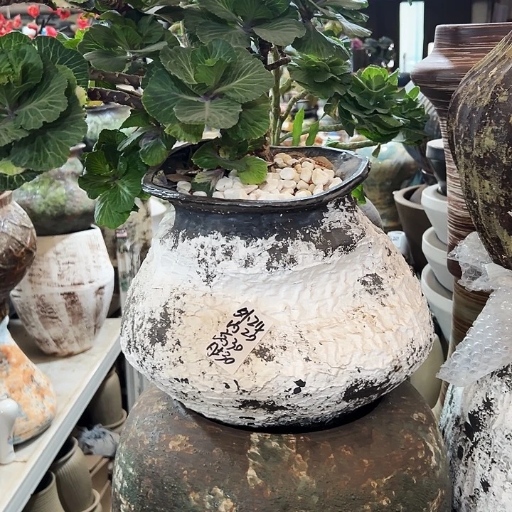 精品花盆栽适合盆栽适合盆栽适