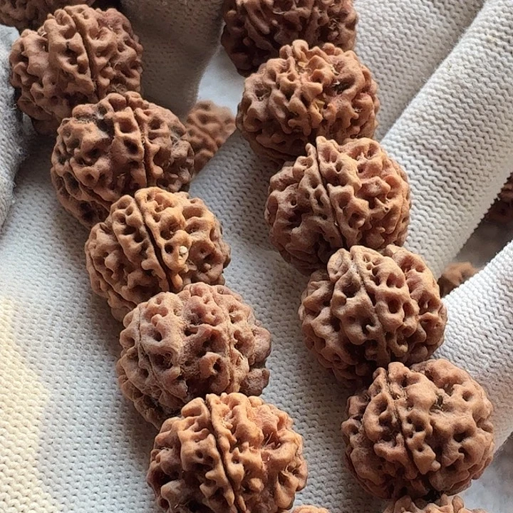 ****J金刚菩提手串一号梅花22小超