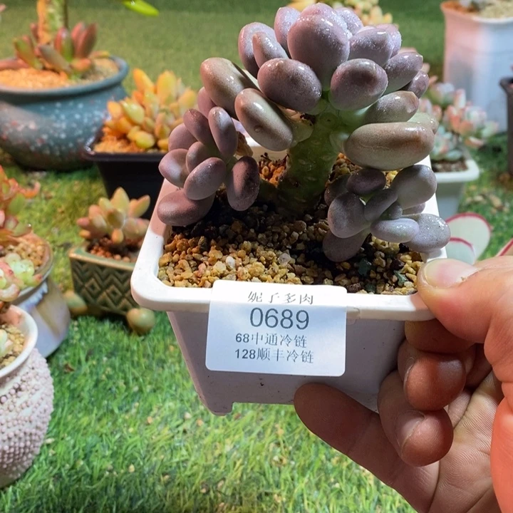 0689啊啊啊啊啊啊啊啊啊啊