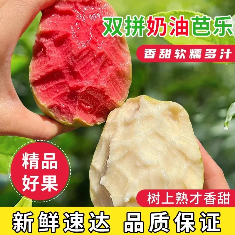 广西软糯冰激凌白心红心芭乐2斤/4斤新鲜水果番石榴脆甜软糯整箱