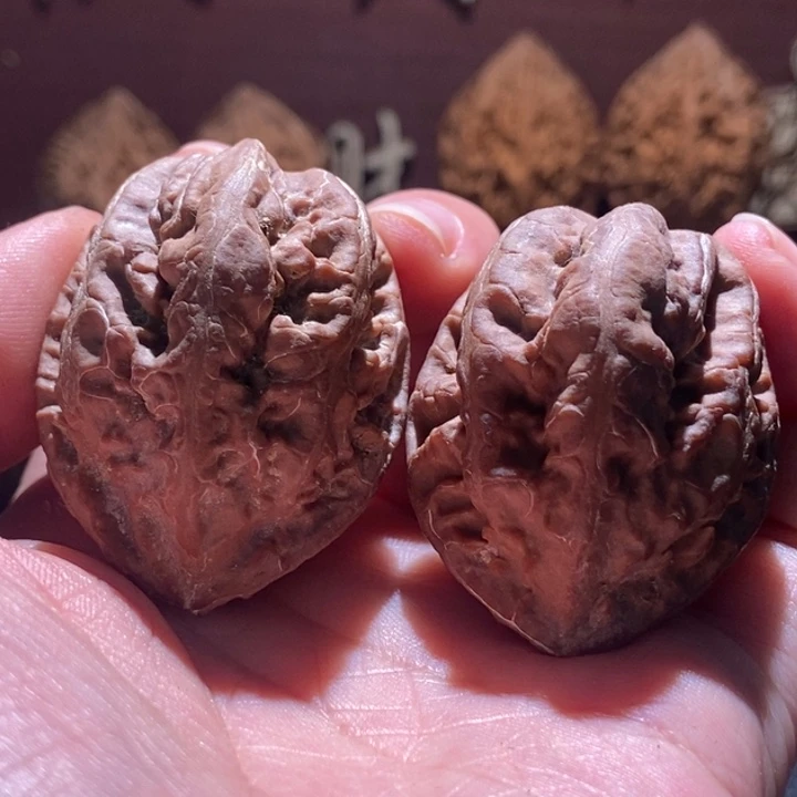 核桃老树霸王龙楸玥核80