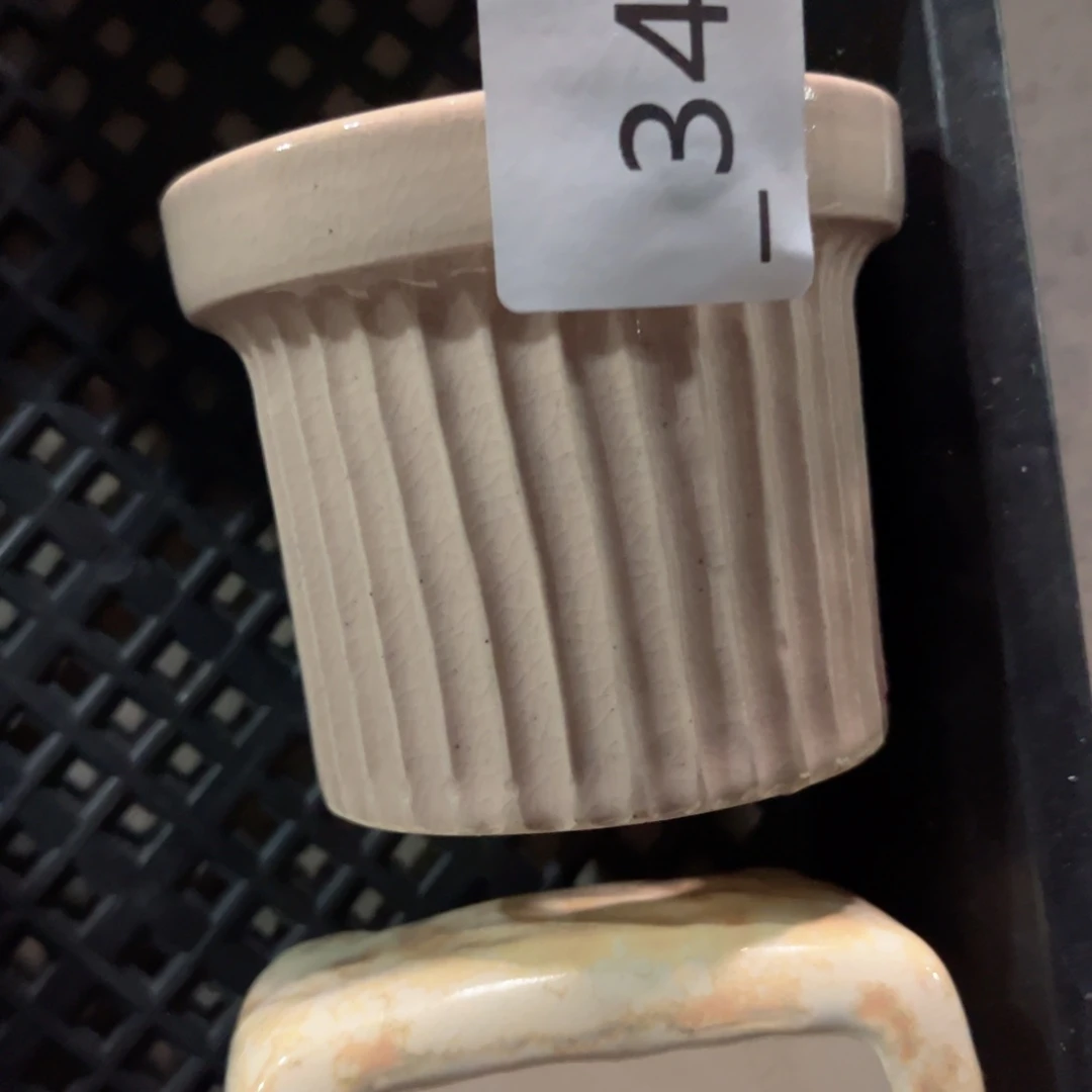 谢*乔编号348花盆一个