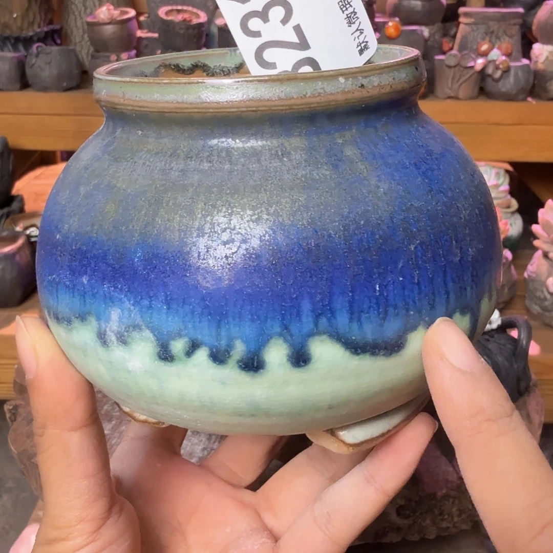 重庆小燕子欢迎大家231