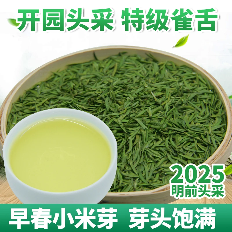 正宗2025年茶叶特级雀舌贵州湄潭明前翠芽春芽浓香型绿茶罐装茶叶