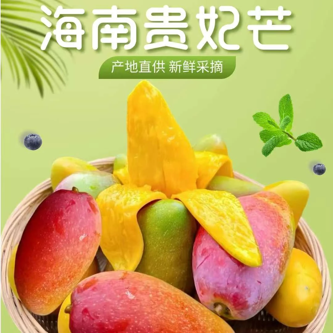 海南树上熟贵妃芒 红金龙芒果 贵妃芒 产地直发 现摘现发