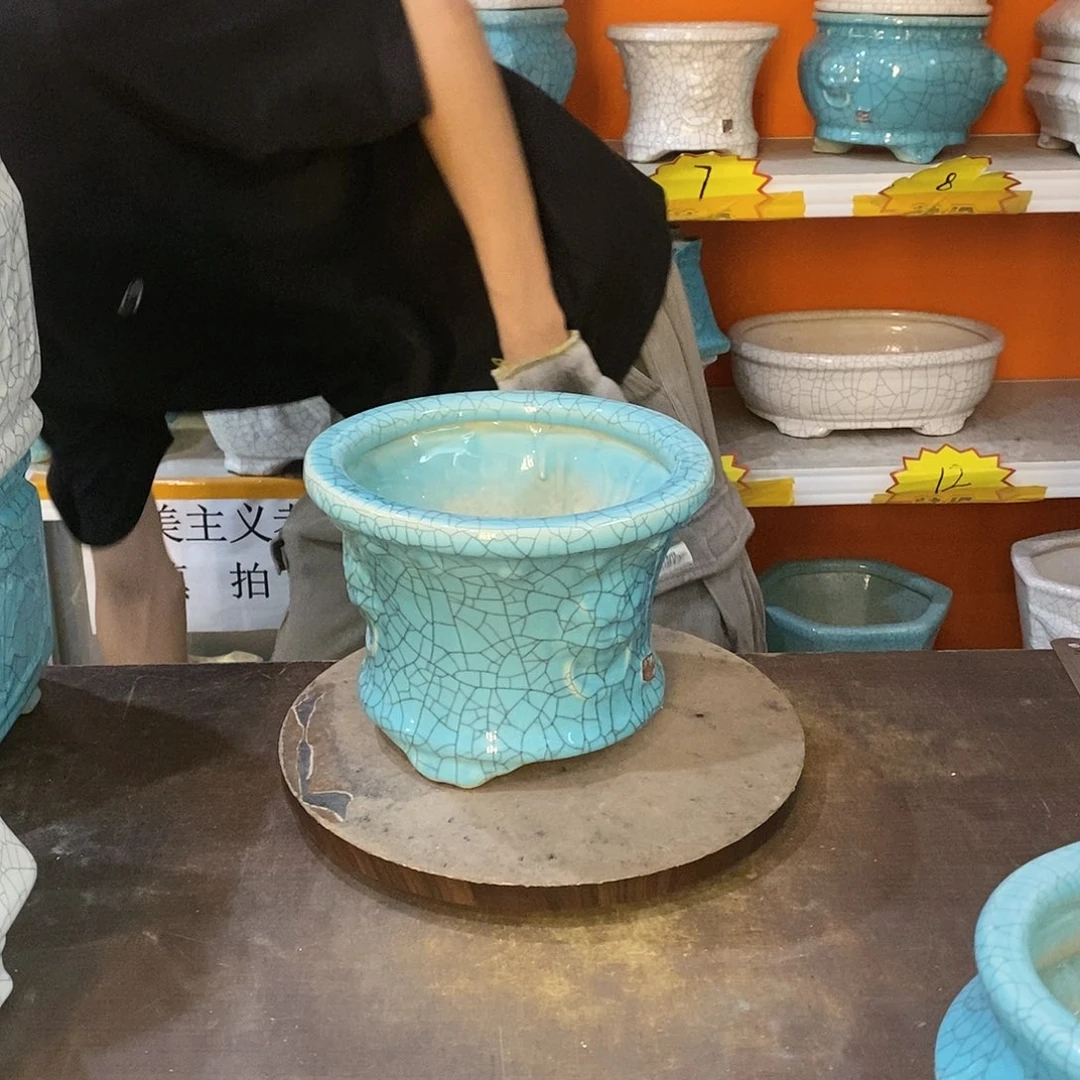 等*花盆花盆里的花都