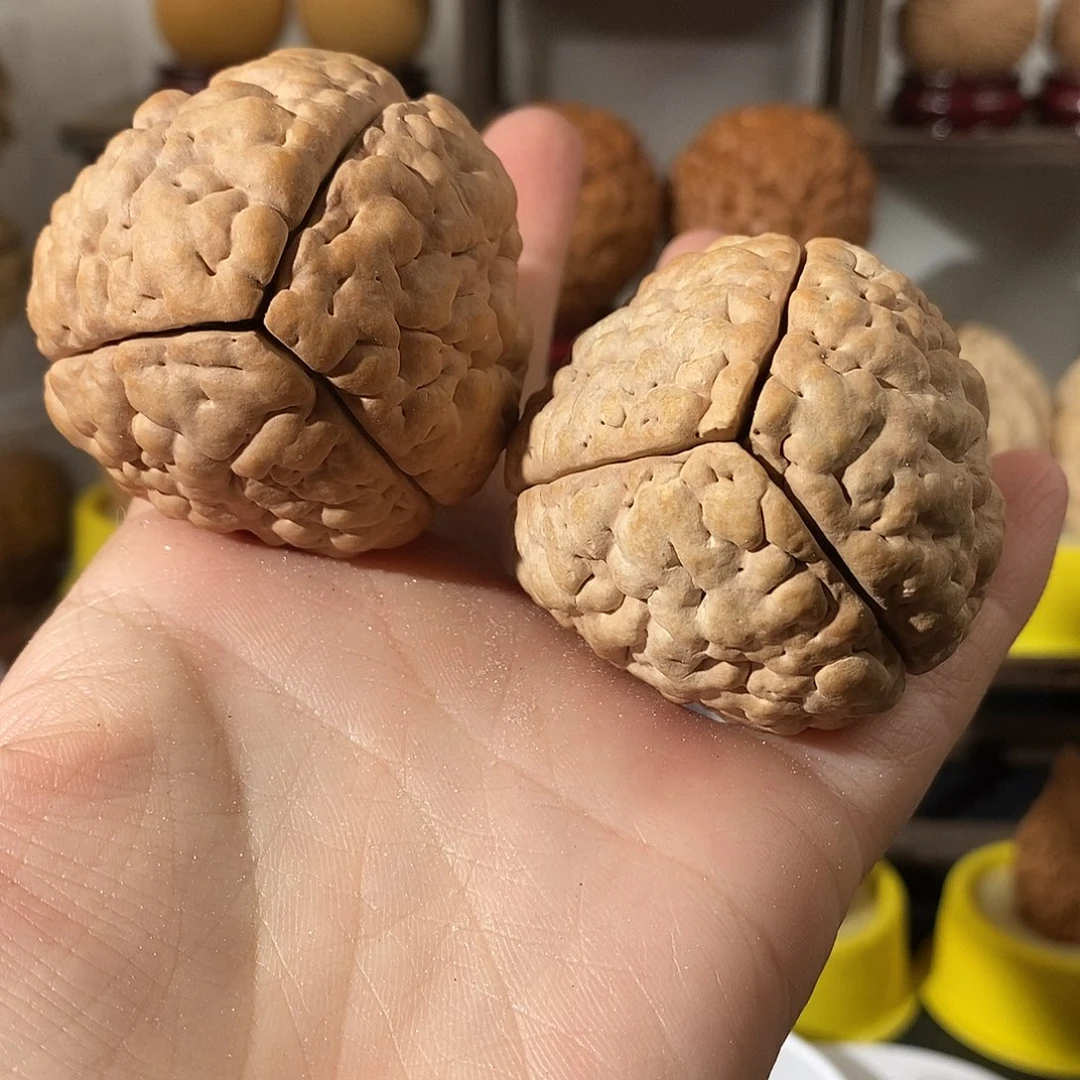 吊坠文玩核桃用****觀三瓣脑纹金刚练手不退不换不接受中差评