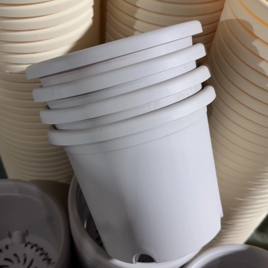 四季3#无拖灰白10个