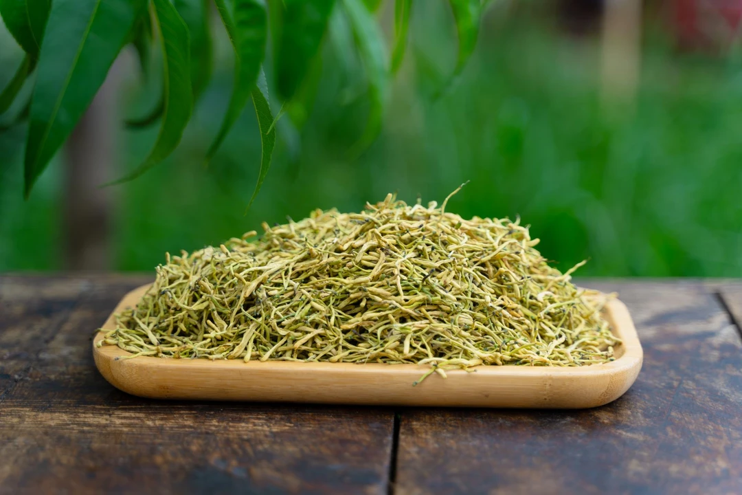 南阳内乡2025新货金银花