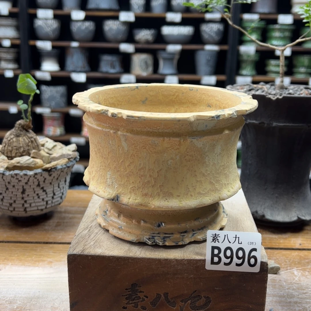 素八九陶瓷内口12高10.5