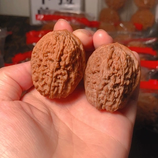 文玩核桃把件大蒜头37.5