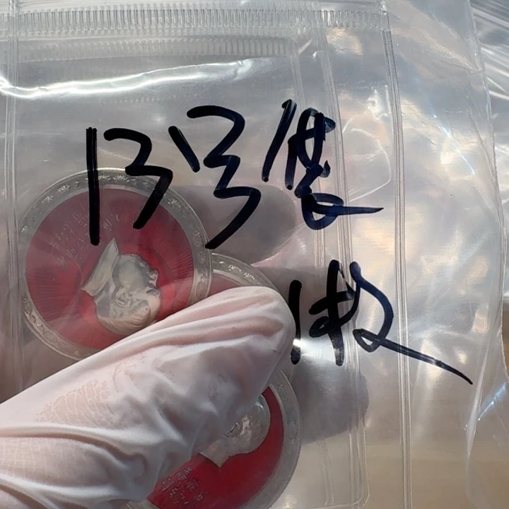 其他普通金属13号袋子，1枚如图毛章