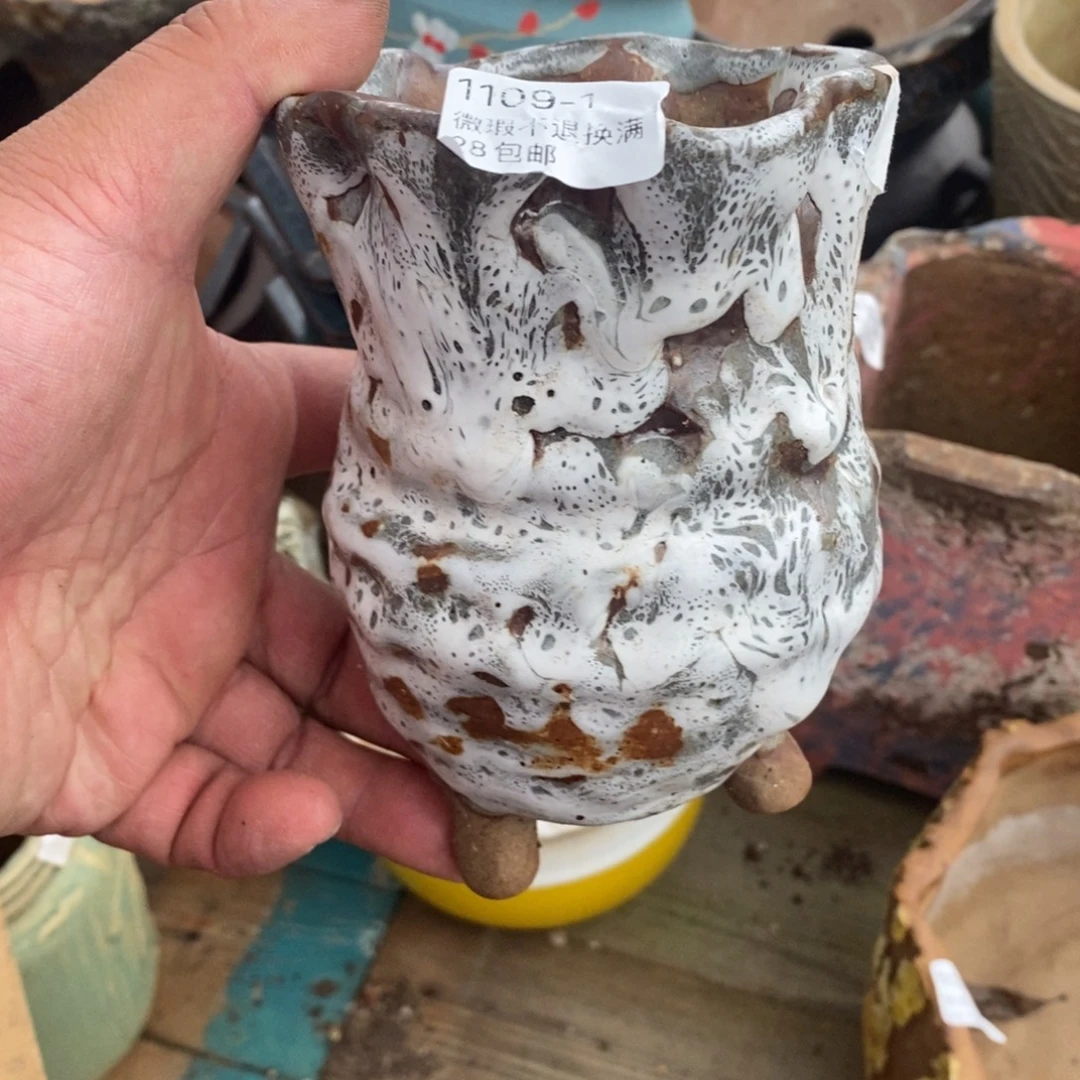1号花盆内8.5高13.5