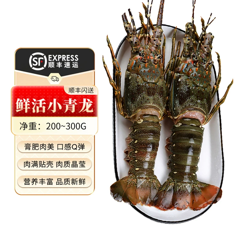小青龙鲜活小青龙200g-300g上海地区小时达次日达