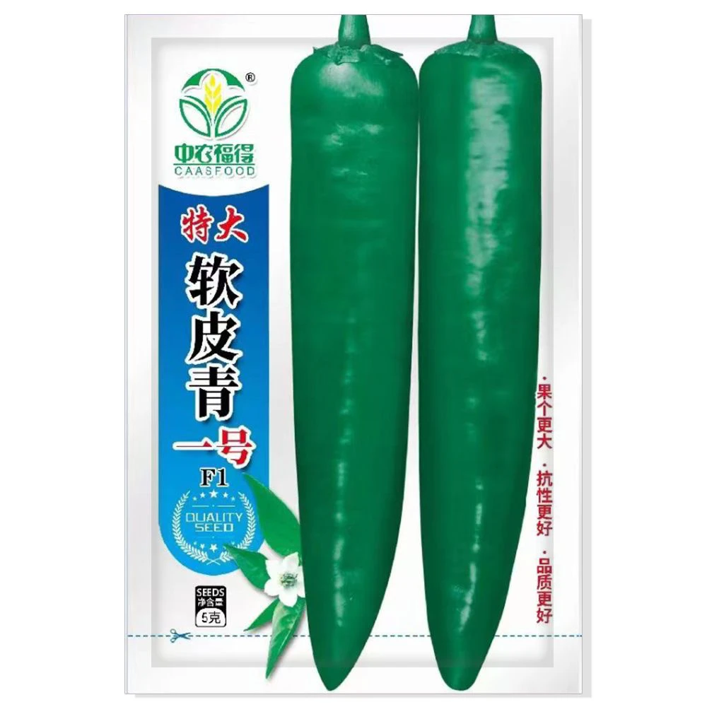 软皮青1号 大果青皮尖椒种子早熟软皮牛角椒杂交一代抗病辣椒种孑