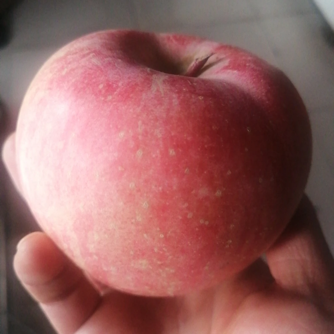 本地富士苹果5斤