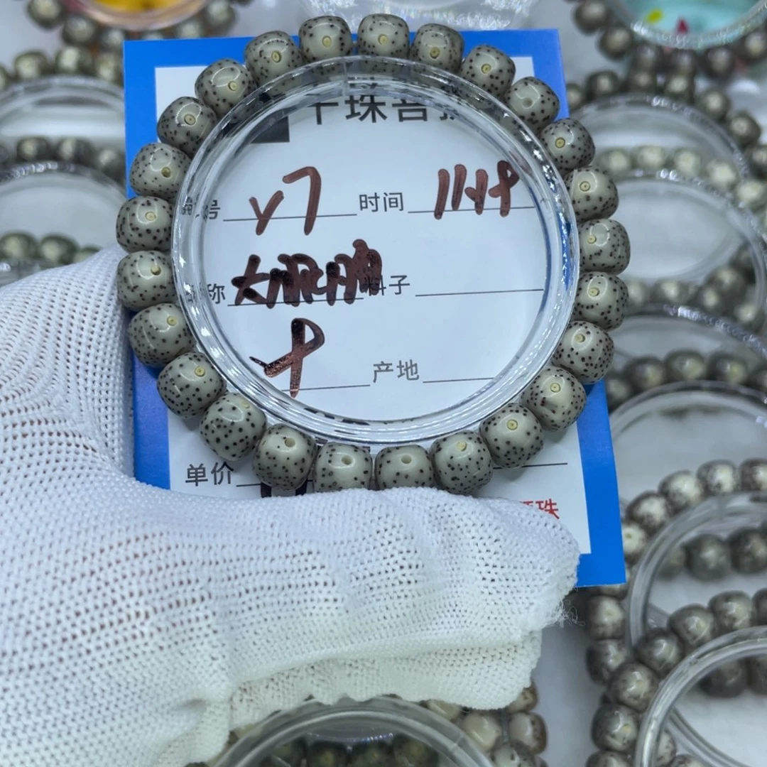 菩提籽类Y7大眼睛0