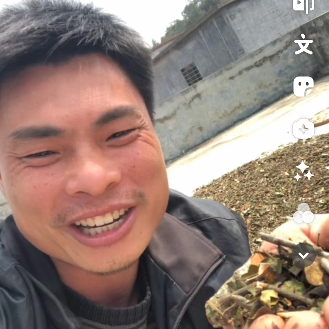 护饭袋黄皮树寄生 自然晒干无任何添加剂 煲水煲汤均可 养生优品