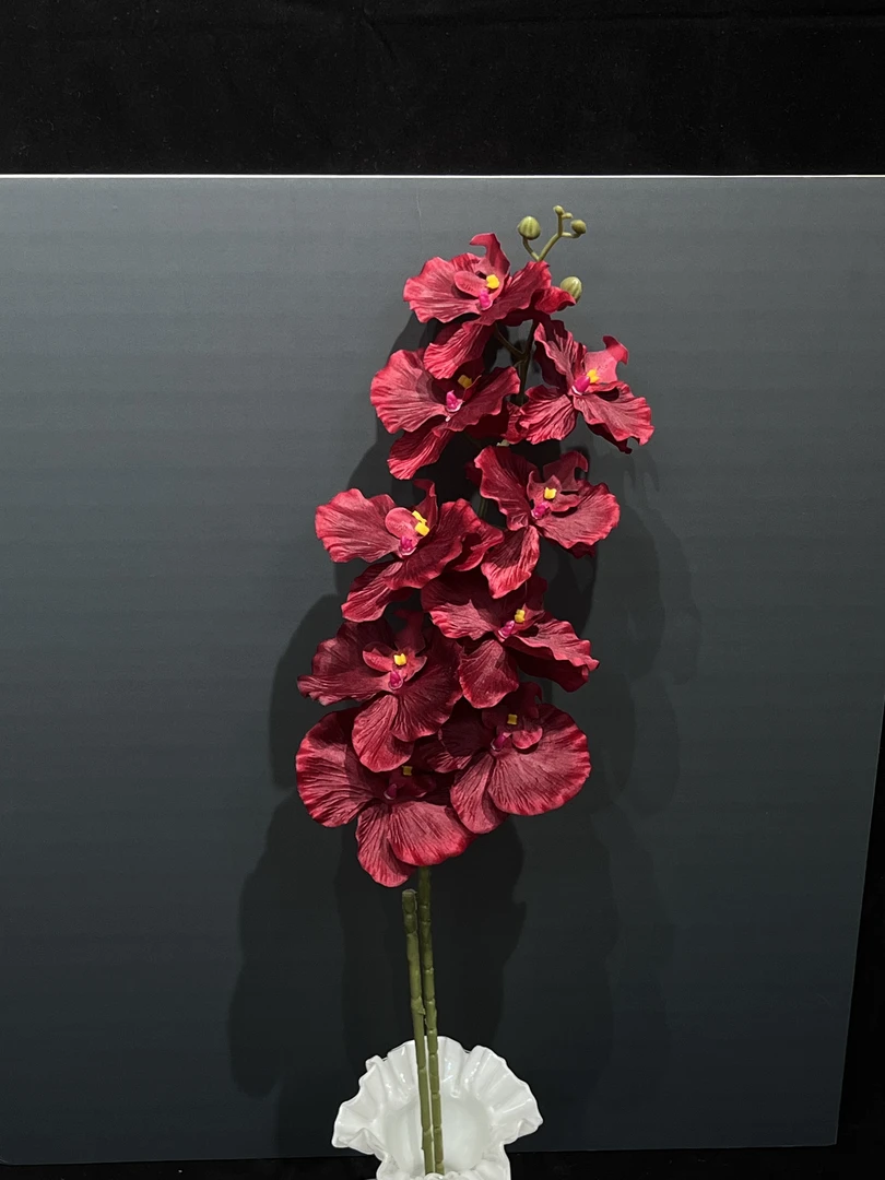 【裕澜】哥特红造型布花边蝴蝶兰 小众 高级感 105CM高