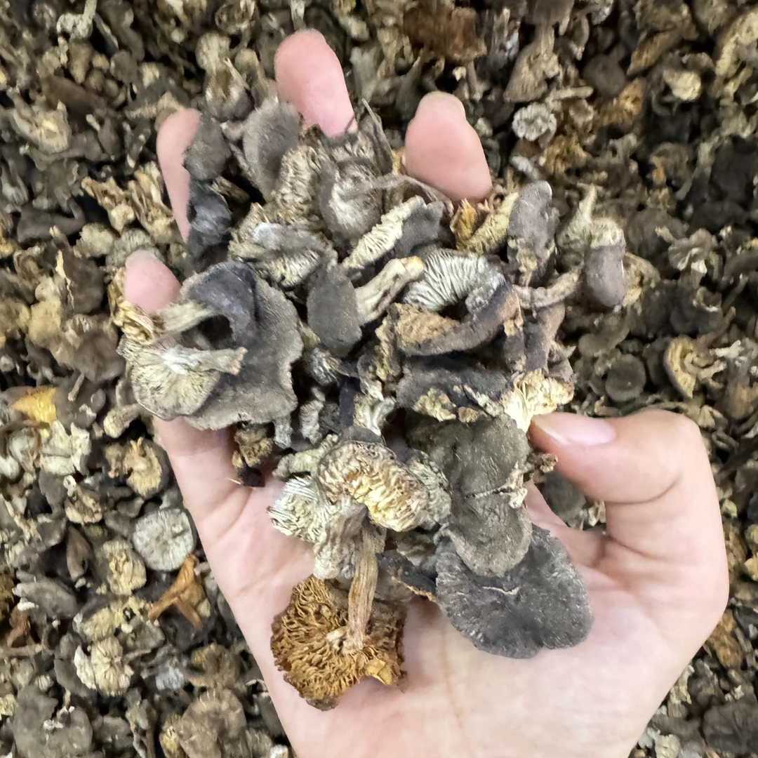 东北野生小灰蘑250g/500g