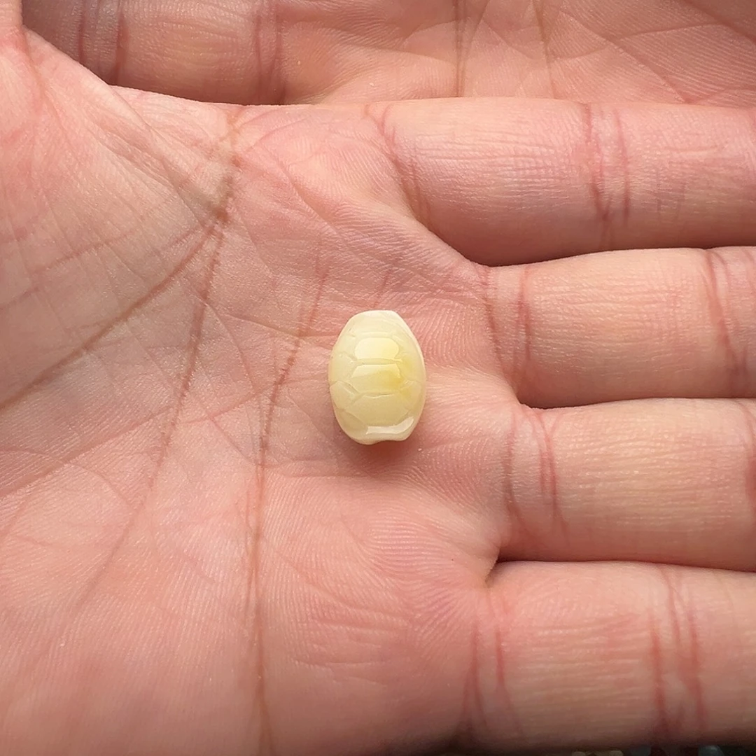 蜜蜡未镶嵌颈饰富甲天下提溜